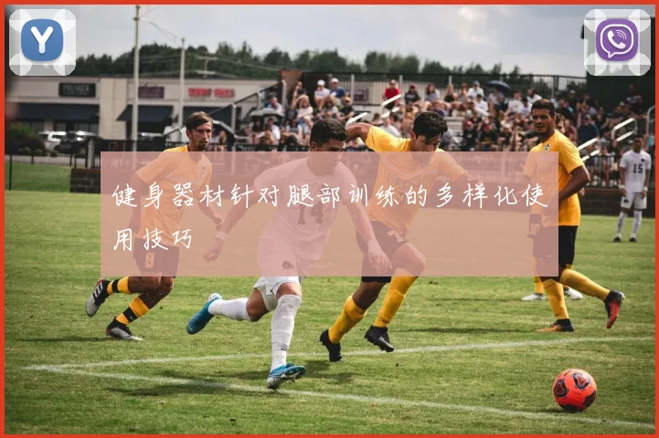 健身器材针对腿部训练的多样化使用技巧