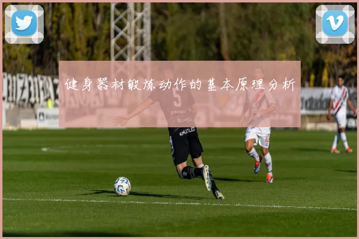 健身器材锻炼动作的基本原理分析