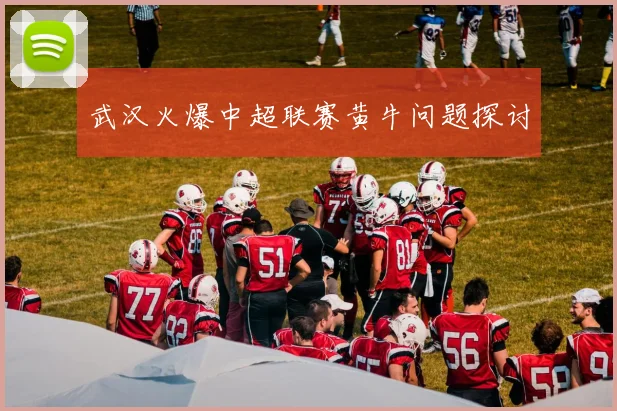 武汉火爆中超联赛黄牛问题探讨