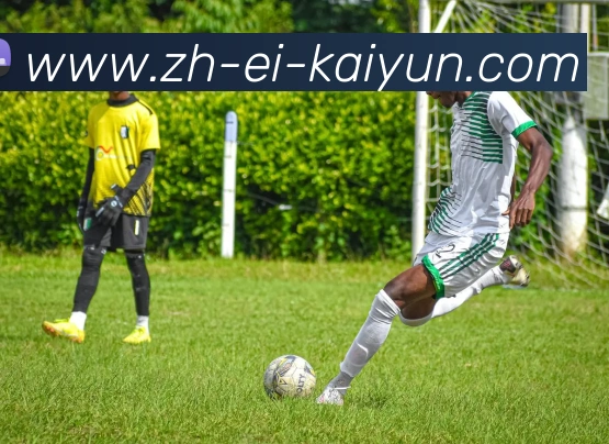 开云体育发展历程