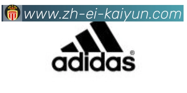 开云APP合作伙伴